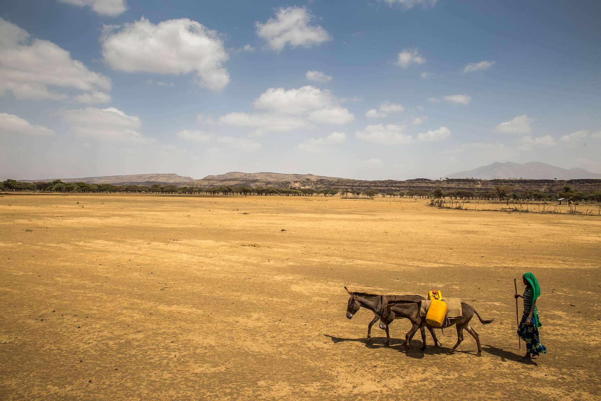 Drought in Ethiopia